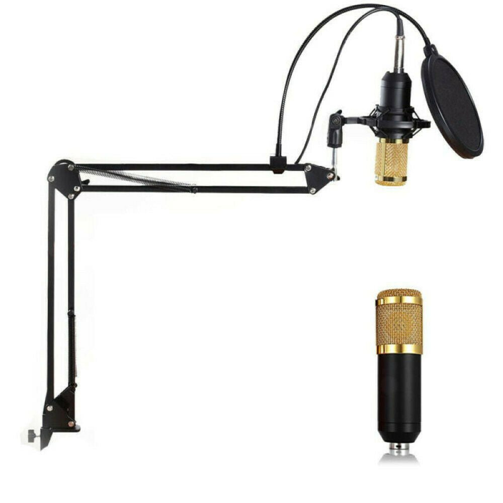 Professional Microphone with Condenser Gold