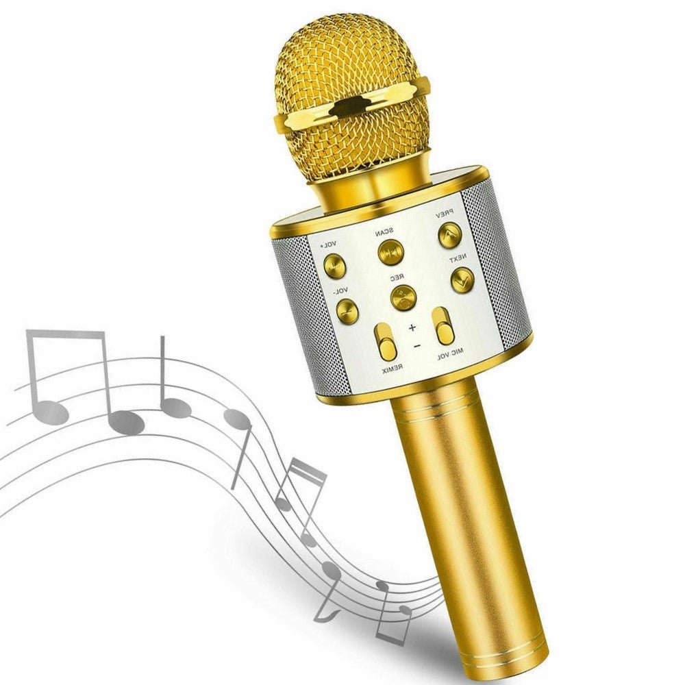 Stereo Microphone for Karaoke with Speakers - KTV , TV and Smartphone compatible.